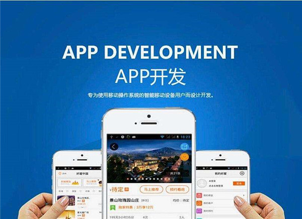 三種不同方式的APP開發(fā)都有它自己適合的企業(yè)